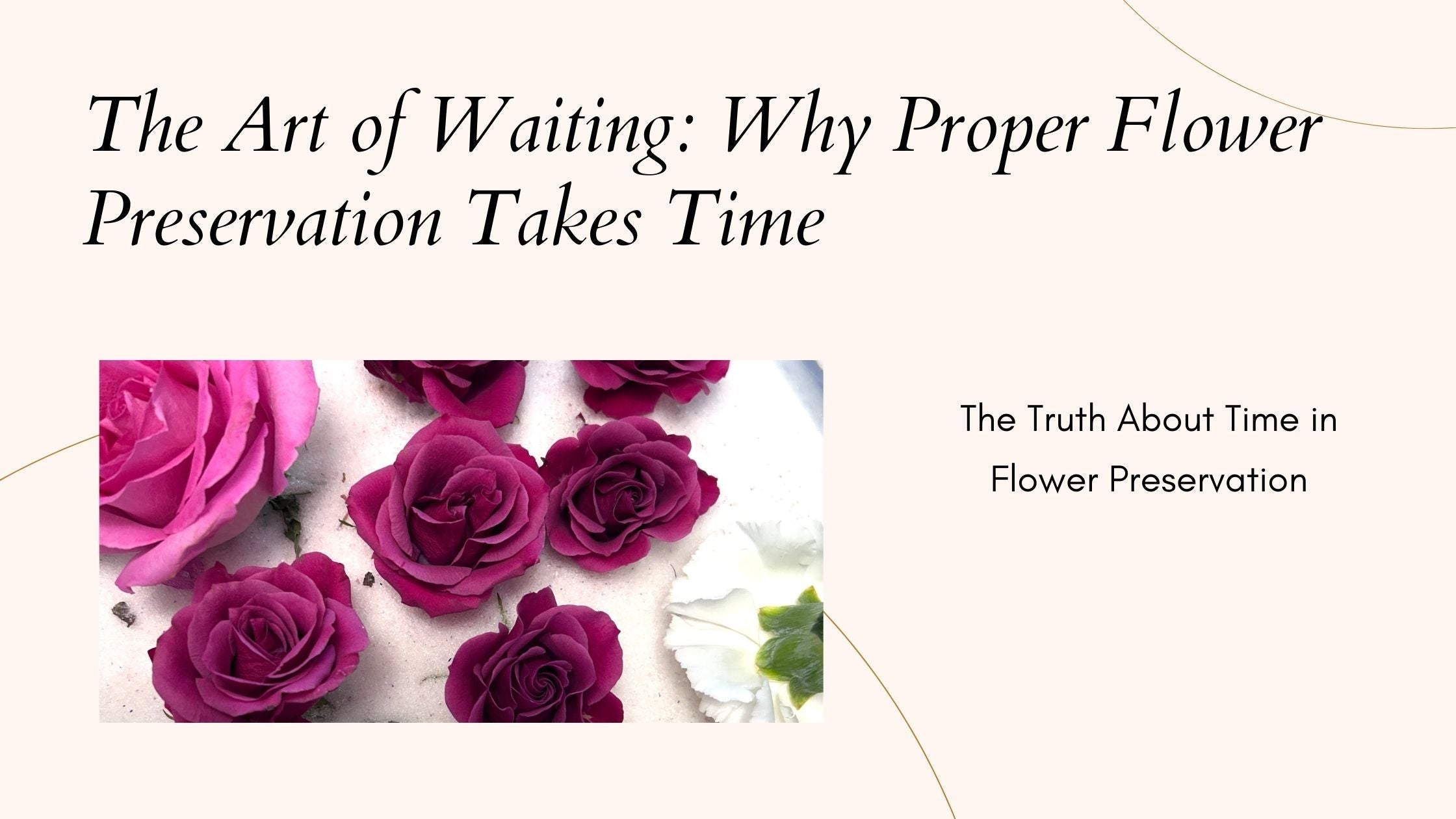 The Art of Waiting: Why Proper Flower Preservation Takes Time