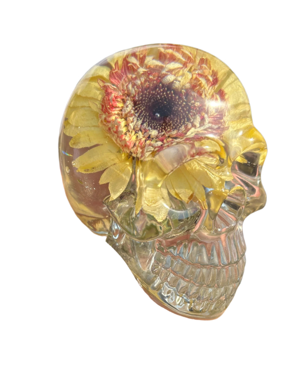 yellow flower inside resin Skull