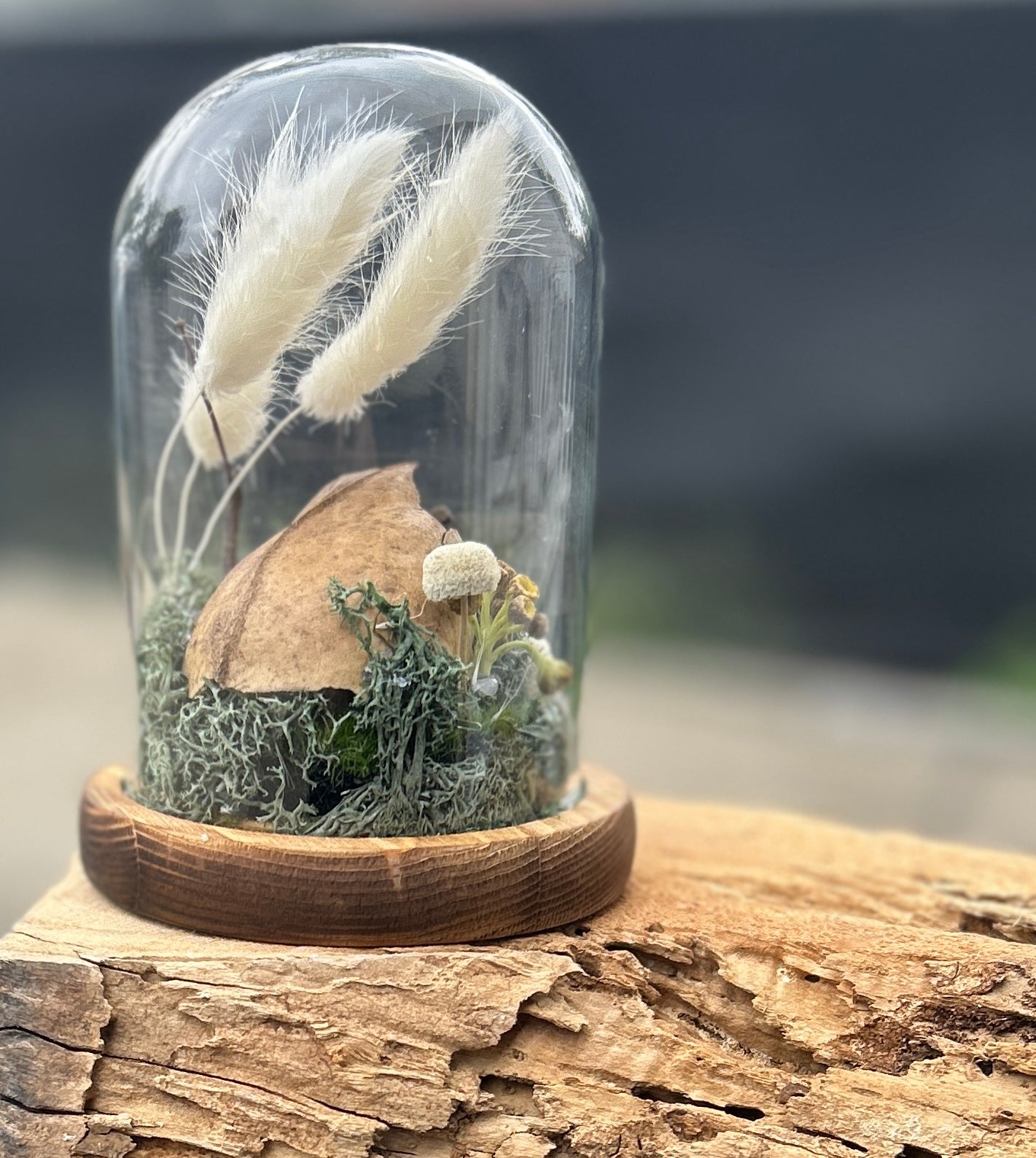Glass cloche with dried flowers and animal skull cap inside